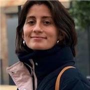 literatura lengua matemática ciencias